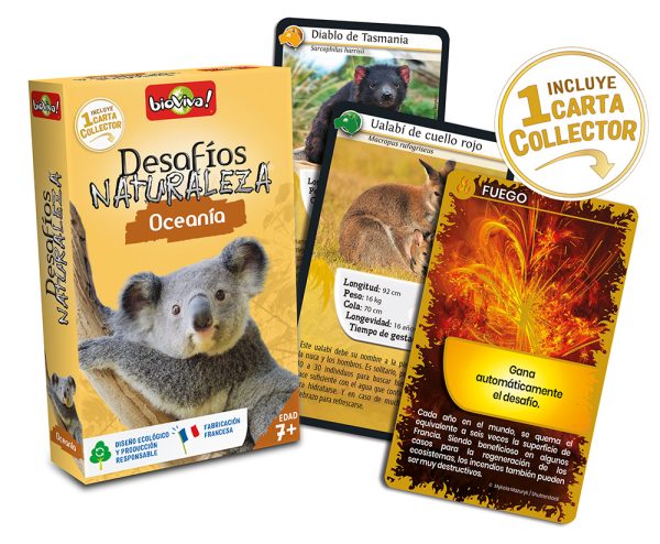 falomir-juegos-desaf-os-naturaleza-ocean-a-coleccionador-juego-de-cartas image 3