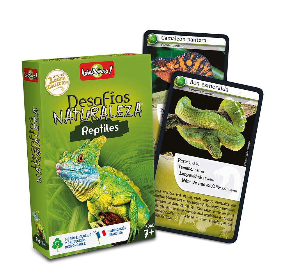 falomir-juegos-desaf-os-naturaleza-reptiles-collector-juego-de-cartas-educativo- image 4