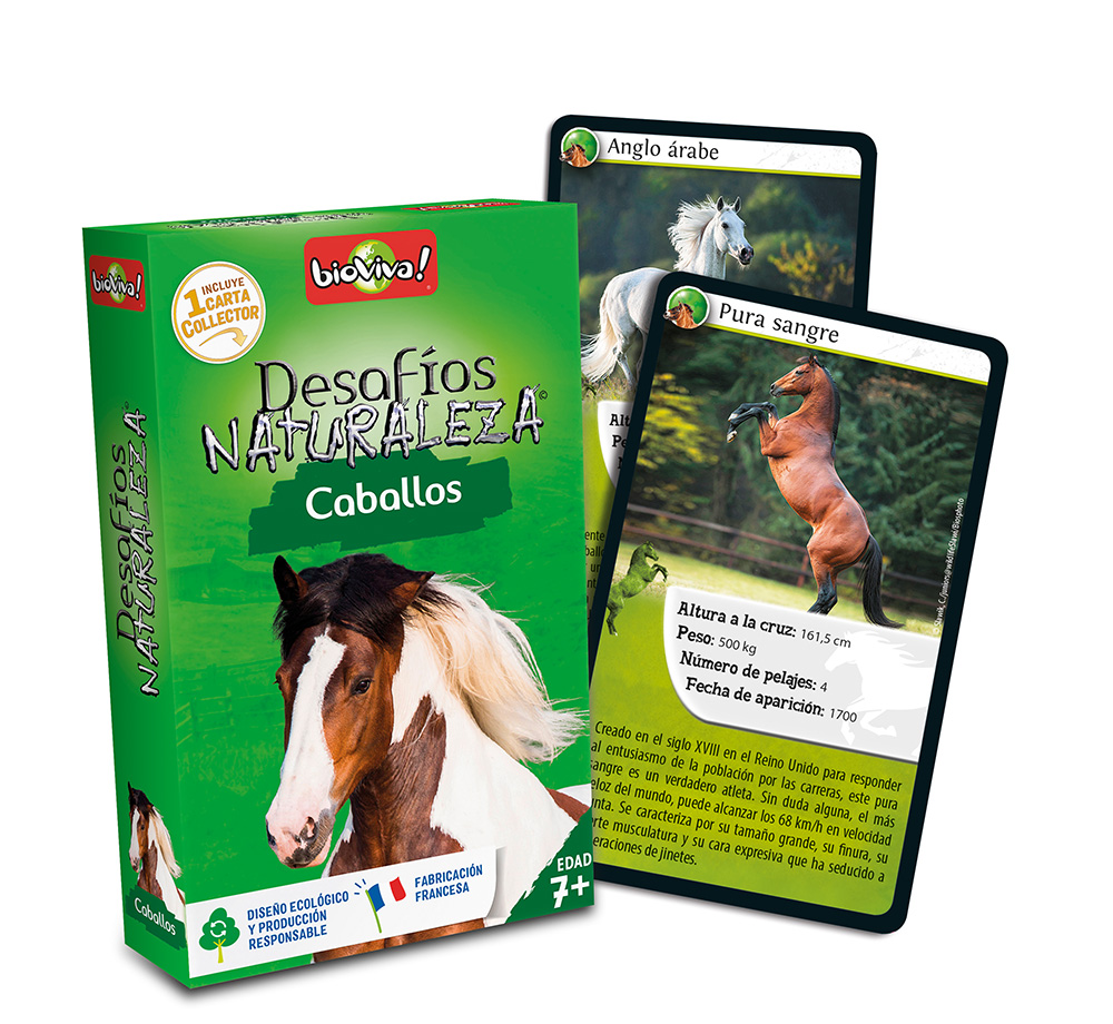 falomir-juegos-desaf-os-naturaleza-caballos-collector-juego-de-cartas image 4