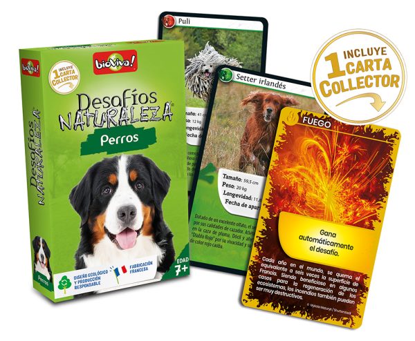 falomir-juegos-desaf-os-naturaleza-perros-collector-juego-cartas image 3