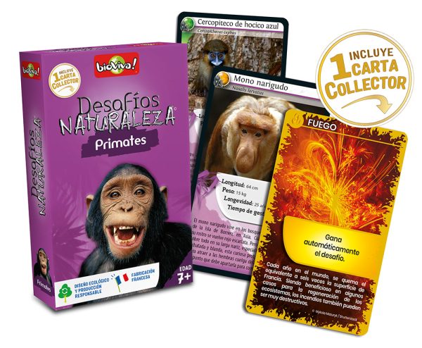 falomir-juegos-desaf-nat-primates-collector-juego-de-cartas image 3