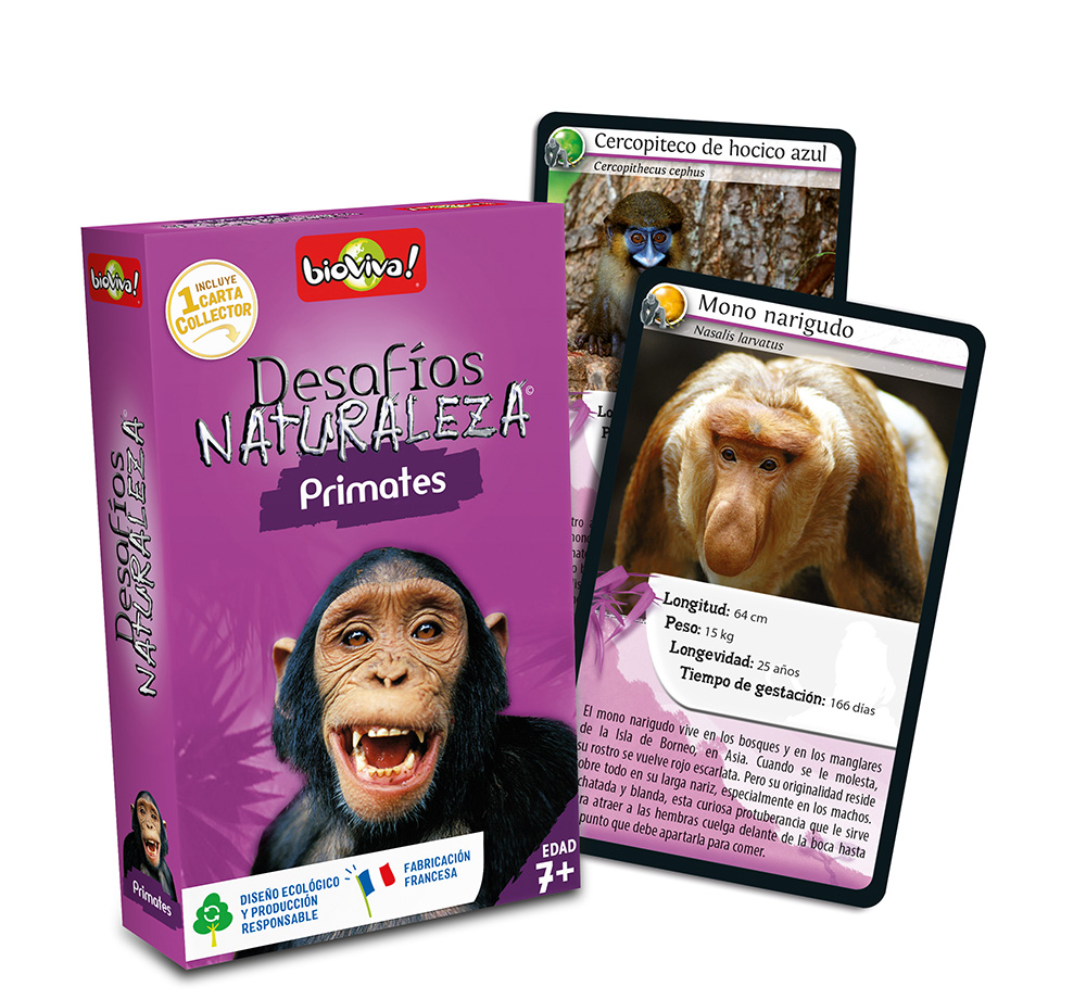 falomir-juegos-desaf-nat-primates-collector-juego-de-cartas image 4