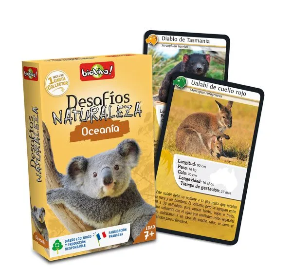 falomir-juegos-desaf-os-naturaleza-ocean-a-coleccionador-juego-de-cartas image 1