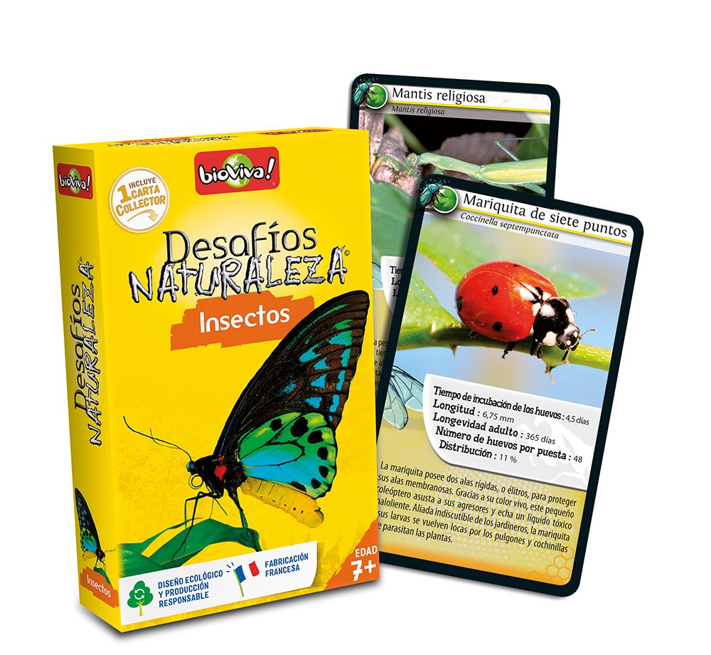 falomir-juegos-desaf-os-naturaleza-insectos-collector-juego-de-cartas image 4