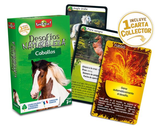 falomir-juegos-desaf-os-naturaleza-caballos-collector-juego-de-cartas image 3