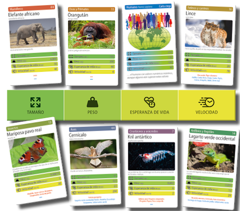 falomir-juegos-top-animales-juego-de-cartas-familiar image 2