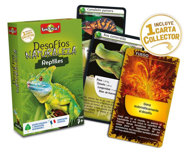 falomir-juegos-desaf-os-naturaleza-reptiles-collector-juego-de-cartas-educativo- image 3