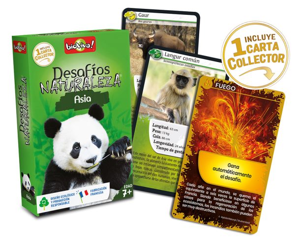 falomir-juegos-desaf-os-naturaleza-asia-collector-juego-de-cartas image 3