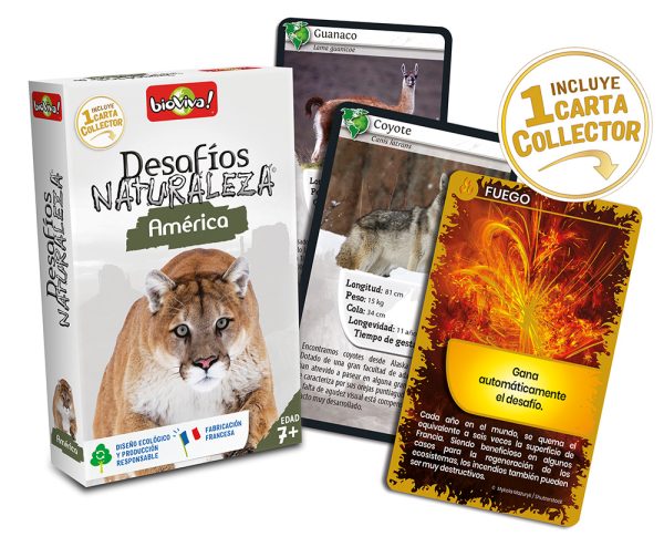 falomir-juegos-desaf-nat-america-collector-juego-de-cartas-de-animales image 3
