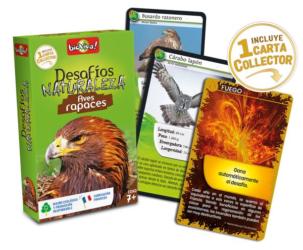 falomir-juegos-desaf-os-naturaleza-aves-de-presa-collector image 3