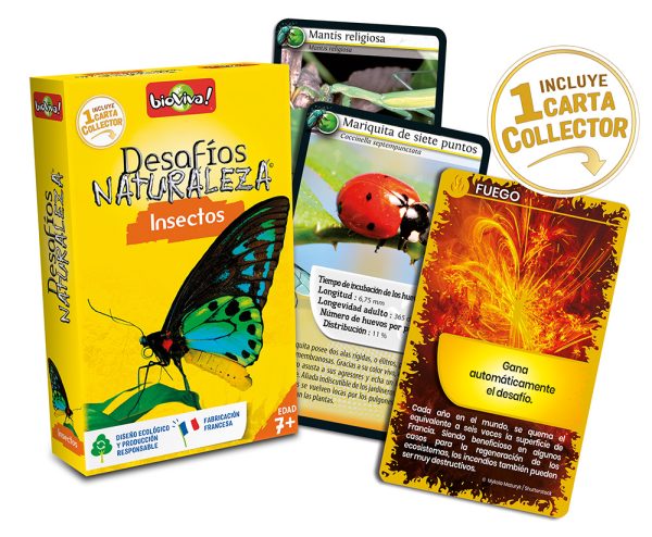 falomir-juegos-desaf-os-naturaleza-insectos-collector-juego-de-cartas image 3