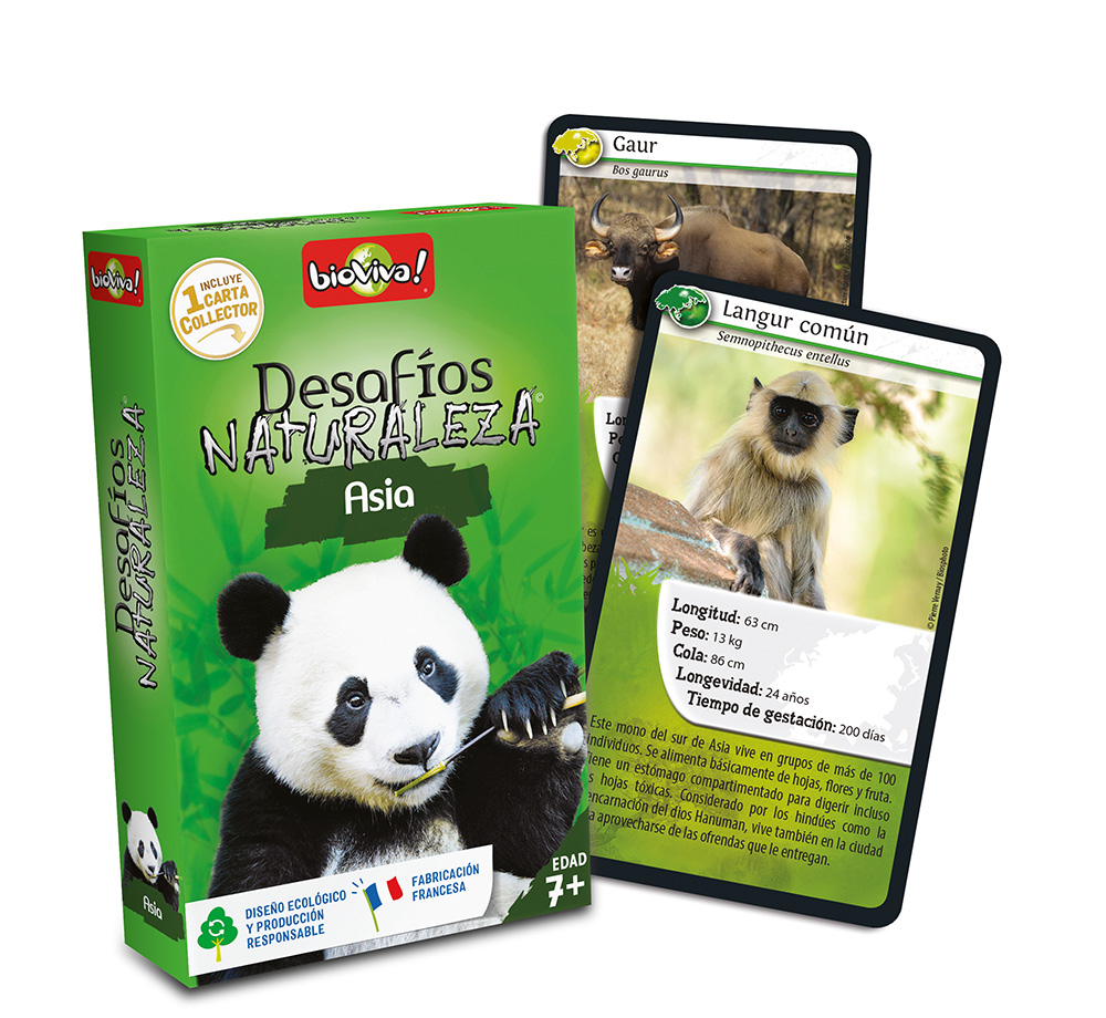 falomir-juegos-desaf-os-naturaleza-asia-collector-juego-de-cartas image 4