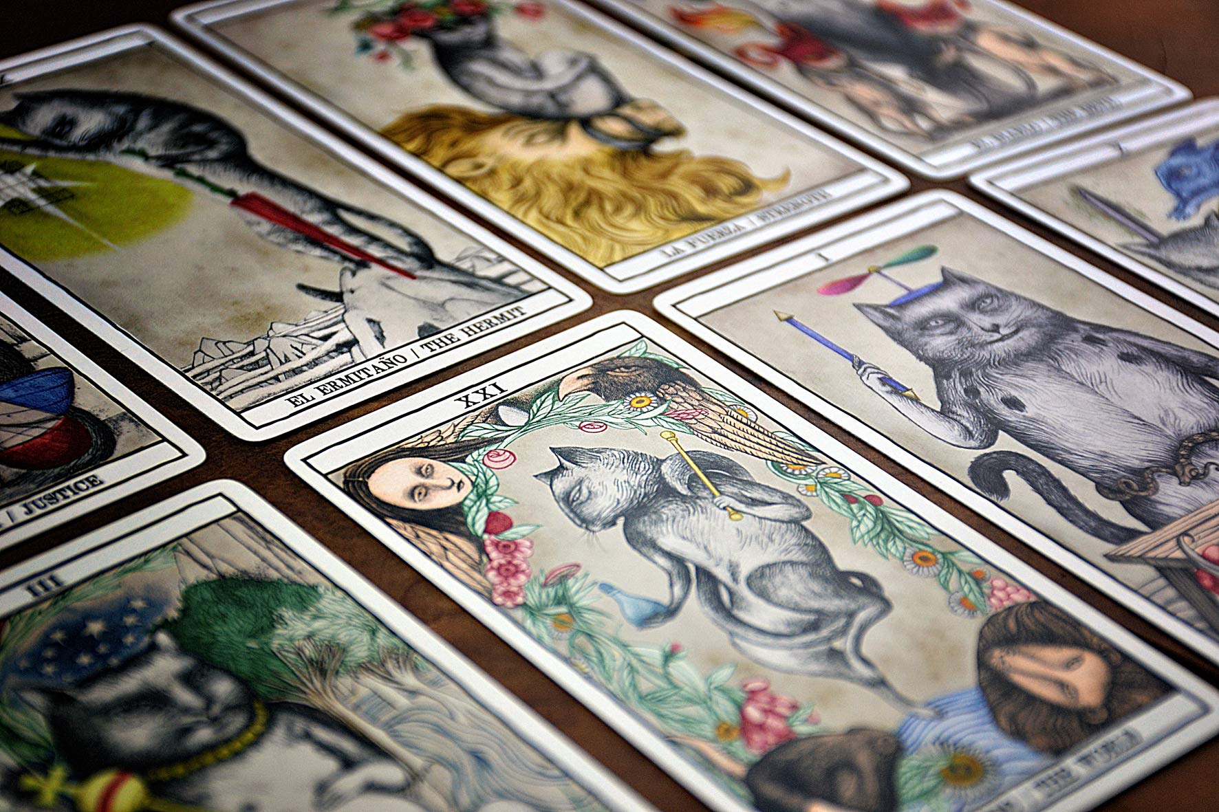fournier-tarot-cats-by-ana-juan-78-cartas image 6